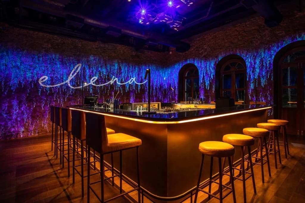 The bar at Elena in Horto